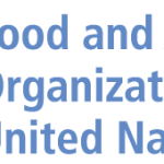 Food and Agriculture Organization of the United Nations Tenders